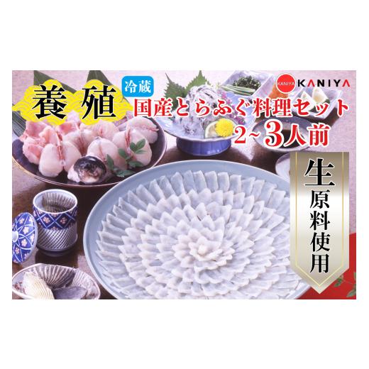 ふるさと納税 フグ 山口県 下関市 国産 養殖 とらふぐ 料理セット 2〜3人前 河豚 ふぐ フグ ふぐ刺し とらふく てっさ ふぐ料理 高級魚 魚介 海鮮 贈答 ギフト…