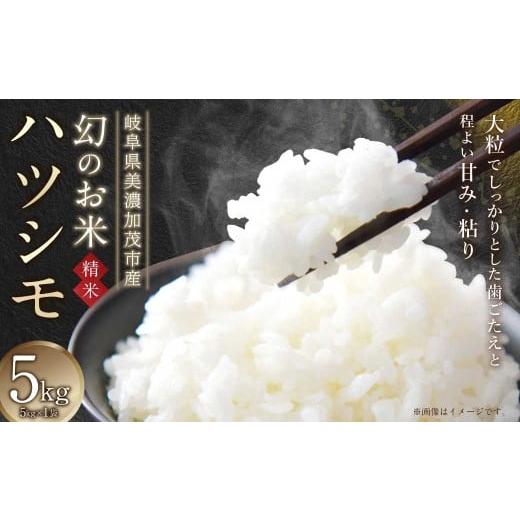ふるさと納税 米 岐阜県 美濃加茂市 令和7年産 岐阜県美濃加茂市蜂屋地区で作ったお米 ハツシモ 5kg コメ こめ 白米 精米 白ご飯 ご飯 2025年11月下旬〜3月下…