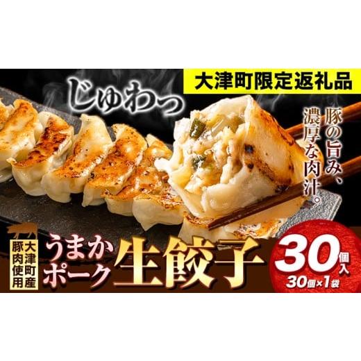 ふるさと納税 加工品等 熊本県 大津町 餃子 うまかポーク生餃子 30個 タレ付き 大津町限定返礼品 冷凍餃子 ギョウザ[30日以内に出荷予定(土日祝除く)]大津町…