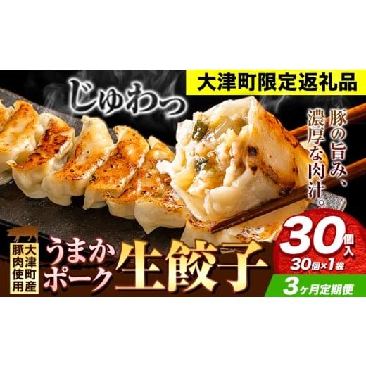 ふるさと納税 加工品等 熊本県 大津町 餃子 うまかポーク生餃子 30個 3ヶ月定期便 タレ付き 大津町限定返礼品 冷凍餃子 ギョウザ[お申込み月の翌月から発送開…