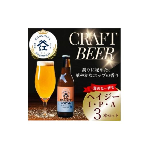 ふるさと納税 ビール 茨城県 かすみがうら市 クラフトビール ヘイジーIPA 計990ml 3本セット 1650942