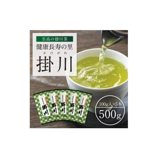 ふるさと納税 お茶類 静岡県 掛川市 特上深蒸し掛川茶「健康長寿の里 掛川」100g×5本セット 1650540