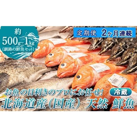ふるさと納税 旬の鮮魚等 北海道 釧路町 定期便 2ケ月連続 お魚の目利きのプロにお任せ 北海道産(国産) 天然 鮮魚 約500g〜1kg(釧路の鮮魚セット) 産地直…