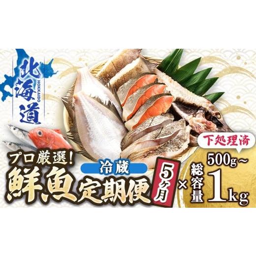 ふるさと納税 旬の鮮魚等 北海道 釧路町 定期便 5ケ月連続 プロ厳選 北海道産 天然 鮮魚セット 冷蔵 500g〜1kg | 鮮魚ボックス 詰め合わせ 鮮魚 生食 刺身 …
