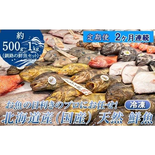 ふるさと納税 旬の鮮魚等 北海道 釧路町 定期便 2ケ月連続 お魚の目利きのプロにお任せ 北海道産(国産) 天然 鮮魚 約500g〜1kg(釧路の鮮魚セット) 鮮魚 …