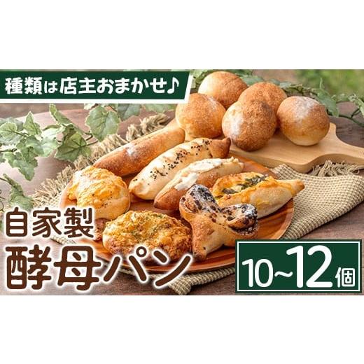ふるさと納税 パン 福岡県 芦屋町 数量限定 自家製酵母パンセット(10〜12個) パン ぱん 酵母パン 朝食パン 菓子パン 総菜パン ベーカリー ブレッド 冷凍パン …