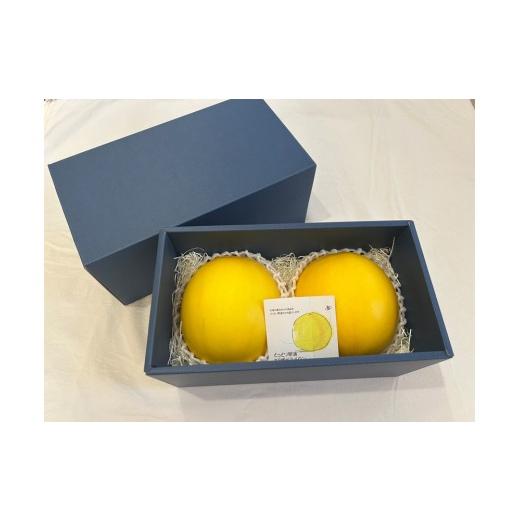ふるさと納税 メロン 鳥取県 琴浦町 鳥取県琴浦町産 エリザベスメロン 秀品 2玉入り(約2kg) メロン エリザベスメロン 希少 レア 甘い 美味しい おいしい …