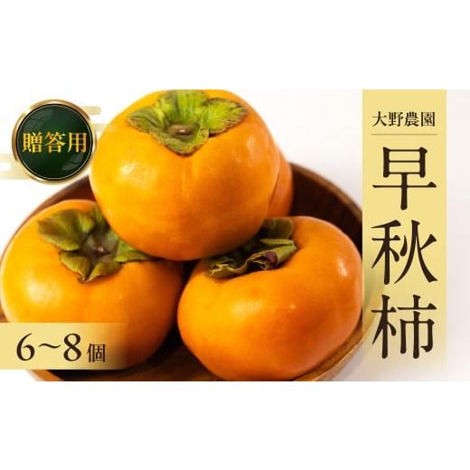 ふるさと納税 果物類 柿 岐阜県 本巣市 令和8年産 先行予約 [早い甘柿]大野農園の早秋柿 2kg (6~8個入) 10月上旬〜10月下旬発送予定 mt1738_26