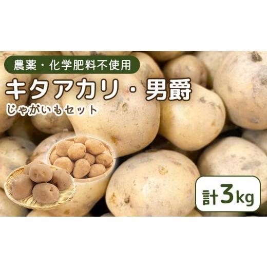 ふるさと納税 野菜類 じゃがいも 宮城県 白石市 農薬・化学肥料不使用 じゃがいも 計3kg(キタアカリ・男爵)セット | 農薬不使用 化学肥料不使用 セット 詰…
