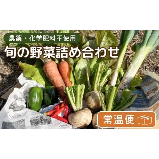 ふるさと納税 セット・詰合せ 宮城県 白石市 農薬・化学肥料不使用 旬野菜詰め合わせ(常温便) | 農薬不使用 化学肥料不使用 セット 詰め合わせ 野菜 じゃが…
