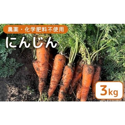 ふるさと納税 野菜類 人参 宮城県 白石市 農薬・化学肥料不使用 にんじん3kg | 農薬不使用 化学肥料不使用 にんじん 人参 野菜 国産 やさい 宮城 宮城産 お取…