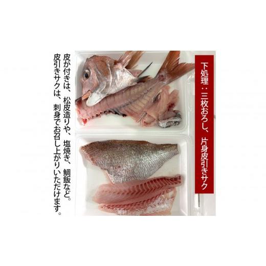 ふるさと納税 魚貝類 鯛 広島県 広島市 三枚おろし片身皮引きサク、片身皮付き 活き締め真鯛1尾(約1kg)タイ たい 刺身 鍋 | 真鯛 鯛 鮮魚 刺身 鍋 国産 高…