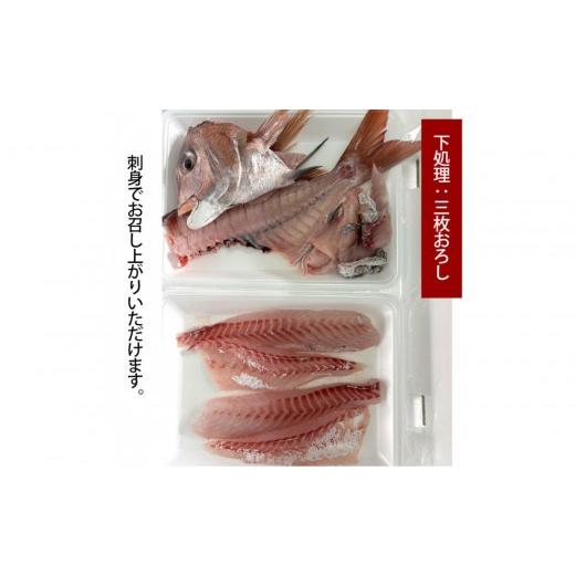 ふるさと納税 魚貝類 鯛 広島県 広島市 三枚おろし全て皮引きサク 活き締め真鯛1尾(約1kg)タイ たい 刺身 鍋 | 真鯛 鯛 鮮魚 刺身 鍋 国産 高級魚 新鮮 活…
