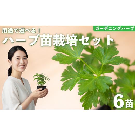 ふるさと納税 花・苗木 埼玉県 羽生市 ハーブ 苗 栽培キット ガーデニングハーブ 6品種 花苗 苗木 ガーデニング 寄せ植え プランター 土 肥料 付き プレゼント…