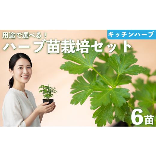 ふるさと納税 花・苗木 埼玉県 羽生市 ハーブ 苗 栽培キット キッチンハーブ 6品種 花苗 苗木 ガーデニング 寄せ植え プランター 土 肥料 付き プレゼント 育…