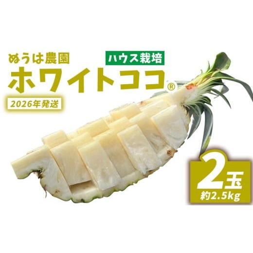 ふるさと納税 果物類 沖縄県 東村 ハウス栽培 ホワイトココ 2玉(約2.5kg) 2026年発送 沖縄県産 東村 ゆがふパイン ジューシー 希少 高級フルーツ 南国フル…