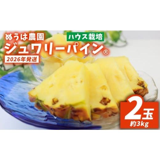 ふるさと納税 果物類 沖縄県 東村 ハウス栽培 ジュワリーパイン 2玉(約3kg) 2026年発送 沖縄県産 東村 パイナップル ジューシー 希少 高級フルーツ 南国…