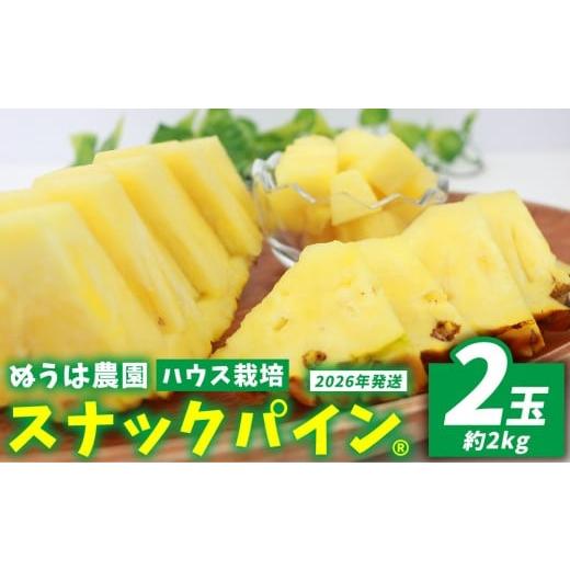 ふるさと納税 果物類 沖縄県 東村 ハウス栽培 スナックパイン 2玉(約2kg) 2026年発送 沖縄県産 東村 パイナップル ジューシー 希少 高級フルーツ 南国フ…