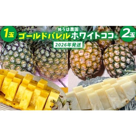 ふるさと納税 果物類 沖縄県 東村 ゴールドバレル1玉とホワイトココ2玉 詰合せ 2026年発送 沖縄県産 東村 パイナップル ジューシー 希少 高級フルーツ 南国フ…