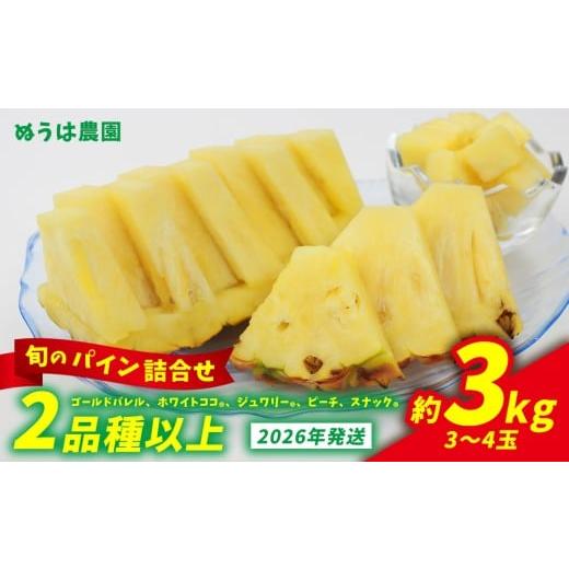 ふるさと納税 果物類 沖縄県 東村 農家お任せ 旬のパイン詰合せ 2品種以上 3〜4玉(約3kg) 2026年発送 沖縄県産 東村 パイナップル ジューシー 希少 高級フル…