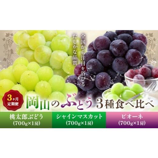 ふるさと納税 ぶどう マスカット 岡山県 備前市 2026年発送 定期便 岡山のぶどう 3種食べ比べ 約700g以上×3回発送(令和8年8月中旬〜10月中旬頃発送) 岡山…