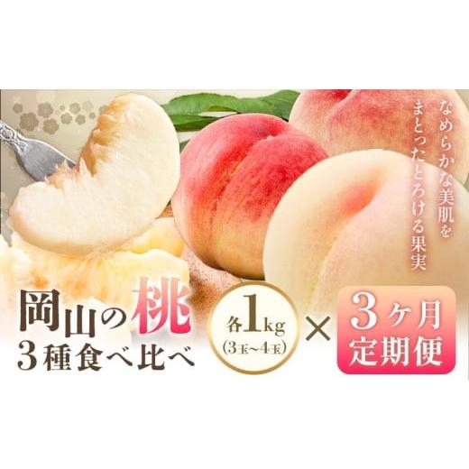ふるさと納税 もも 岡山県 備前市 2026年発送 定期便 岡山の桃 3種食べ比べ 約1kg×3回発送(令和8年7月中旬〜9月中旬頃発送) 岡山県産 桃 白桃 3種 約…