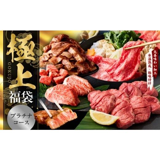 ふるさと納税 牛肉 セット 大阪府 泉佐野市 極上福袋 プラチナコース 5種 4kg以上 牛肉 ステーキ 牛タン 焼肉 しゃぶしゃぶ すき焼き 氷温熟成×極味付け