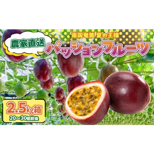 ふるさと納税 果物類 鹿児島県 奄美市 農家直送パッションフルーツ 2.5kg箱 家庭用(サイズ混合)