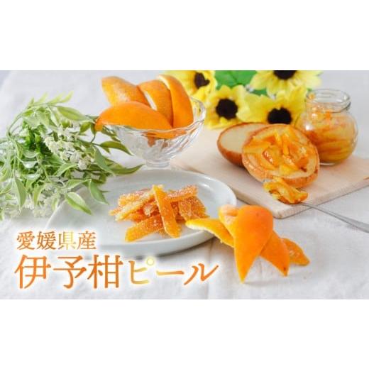 ふるさと納税 みかん・柑橘類 愛媛県 松山市 自然栽培 潮風たっぷり 自然栽培 いよかん 冷凍 ピール 皮 | いよかん お菓子づくり マーマレード お酒 伊予柑 …