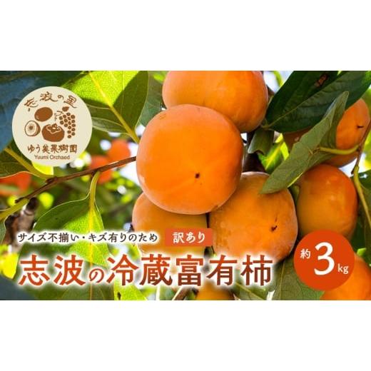 ふるさと納税 果物類 柿 福岡県 朝倉市 訳あり 志波の冷蔵富有柿 約3kg 柿 冷蔵 配送不可:離島