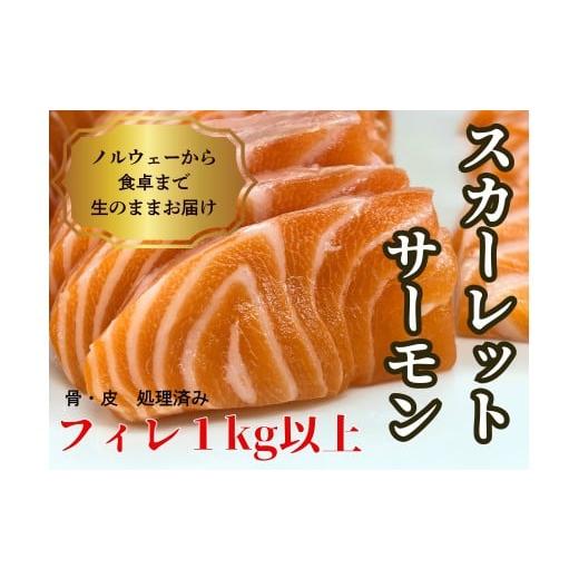 ふるさと納税 魚貝類 サーモン 埼玉県 熊谷市 生スカーレットサーモン(アトランティックサーモン) 1000g以上