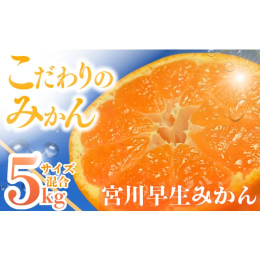 ふるさと納税 果物類 みかん 和歌山県 田辺市 先行予約 宮川早生みかん 5kg 2S〜Lサイズ混合 12月上旬より順次発送 / みかん ミカン 蜜柑 フルーツ ご当地 …