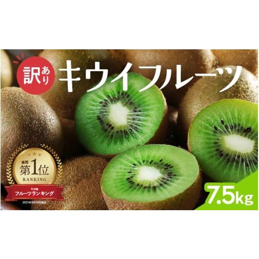 ふるさと納税 果物類 和歌山県 紀美野町 11月より発送 わけあり キウイ7.5kg+250g(傷み補償分) わけあり・訳あり・扁平果 / 和歌山 フルーツ 果物 くだも…