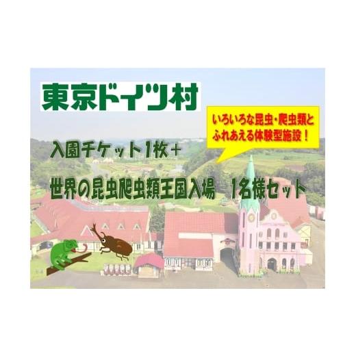 ふるさと納税 入場券・優待券 千葉県 袖ケ浦市 東京ドイツ村 入園チケット 1枚+世界の昆虫爬虫類王国 1日入場引換券 1名様分|旅行 観光 日帰り 泊り あそぶ …