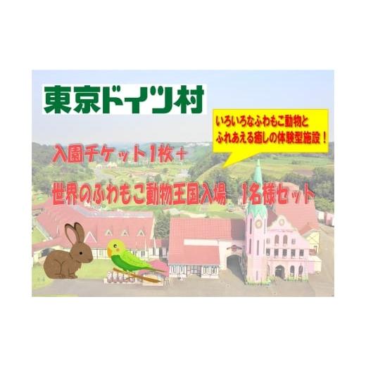 ふるさと納税 入場券・優待券 千葉県 袖ケ浦市 東京ドイツ村 入園チケット 1枚+世界のふわもこ動物王国 1日入場引換券 1名様分|旅行 観光 日帰り 泊り あそ…
