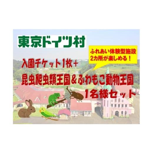 ふるさと納税 入場券・優待券 千葉県 袖ケ浦市 東京ドイツ村 入園チケット 1枚+昆虫爬虫類王国&ふわもこ動物王国 1日入場引換券 1名様分|旅行 観光 日帰り …
