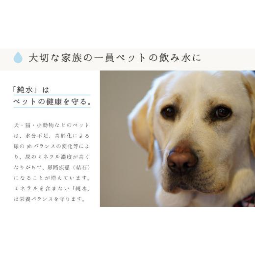 ふるさと納税 水・ミネラルウォーター 2.1L〜 高知県 室戸市  定期便 3回 純水 20L x 1箱 硬度0 硬度ゼロ 20リットル ミネラルウォーター 飲料水 飲水 室戸海…の画像