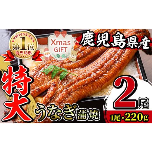 ふるさと納税 うなぎ 鹿児島県 出水市 i1078-A-Xm クリスマスギフト ＼特大サイズ/ 鹿児島県産 うなぎ蒲焼 (2尾) 1尾 約220g たれ 山椒付きうなぎ 鰻 ウナギ …