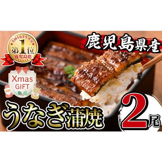 ふるさと納税 うなぎ 鹿児島県 出水市 i505-Xm クリスマスギフト 鹿児島県産うなぎ蒲焼 (2尾) 1尾約140g うなぎ 鰻 ウナギ 蒲焼き 国産 鹿児島県産 焼きたて …