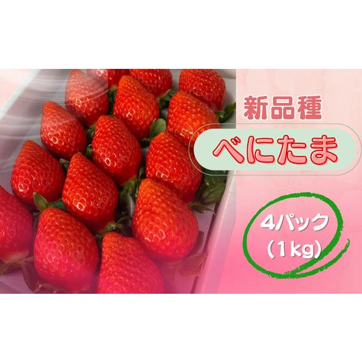 ふるさと納税 いちご 埼玉県 川島町 先行受付 新品種 埼玉オリジナル いちご べにたま 4パック ストロベリーハント