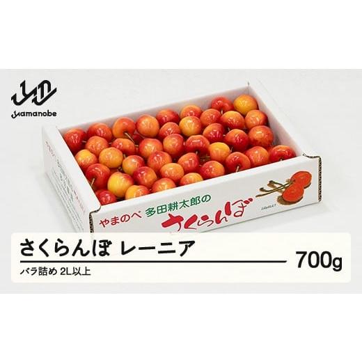 ふるさと納税 果物類 さくらんぼ 山形県 山辺町 [先行予約]2026年 山形県産 レーニア バラ詰め 700g やまのべ多田耕太郎のさくらんぼ サクランボ tn-rnx2b70…