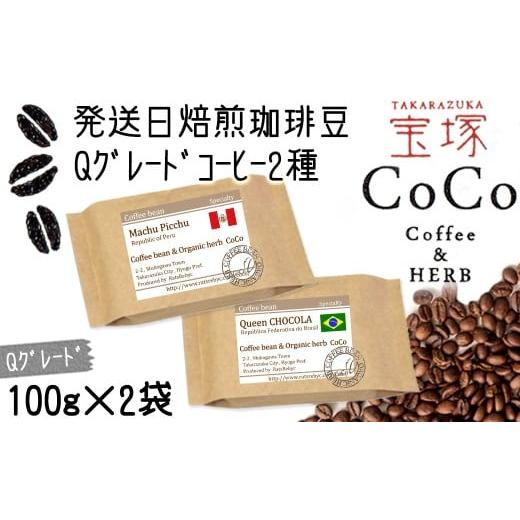 ふるさと納税 コーヒー コーヒー豆 兵庫県 宝塚市 宝塚 発送日焙煎珈琲 Qグレードコーヒー100g×2種(マチュピチュ・ショコラ) 粉 粉