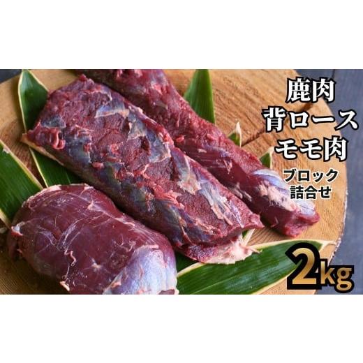 ふるさと納税 鹿肉 岡山県 西粟倉村 森のジビエ 鹿肉 ブロック おまかせ詰合せ2kg A