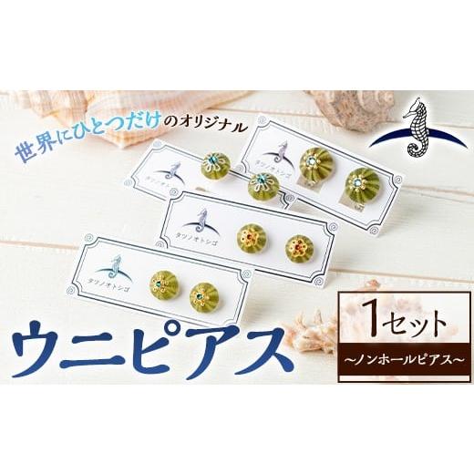 ふるさと納税 アクセサリー ピアス 福岡県 芦屋町 海アクセサリー ウニノンホールピアス (1セット) アクセサリー ピアス ノンホールピアス ハンドメイド 手作…