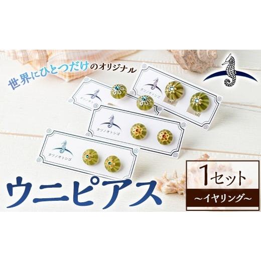 ふるさと納税 アクセサリー 福岡県 芦屋町 海アクセサリー ウニイヤリング (1セット) アクセサリー イヤリング ハンドメイド 手作り 耳飾り ギフト プレゼント…