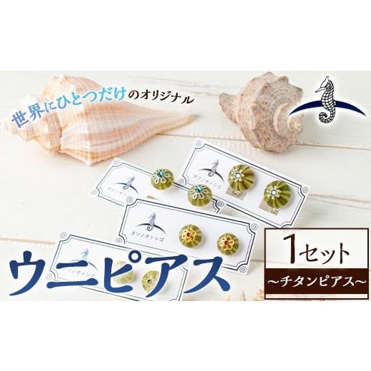 ふるさと納税 アクセサリー ピアス 福岡県 芦屋町 海アクセサリー ウニチタンピアス (1セット) アクセサリー ピアス チタンピアス ハンドメイド 手作り 耳飾り…