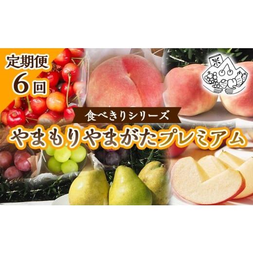 ふるさと納税 果物類 さくらんぼ 山形県 山形市 定期便6回 食べきりシリーズ やまもりやまがたプレミアム 令和8年産先行予約 FS25-105 くだもの 果物 フルー…
