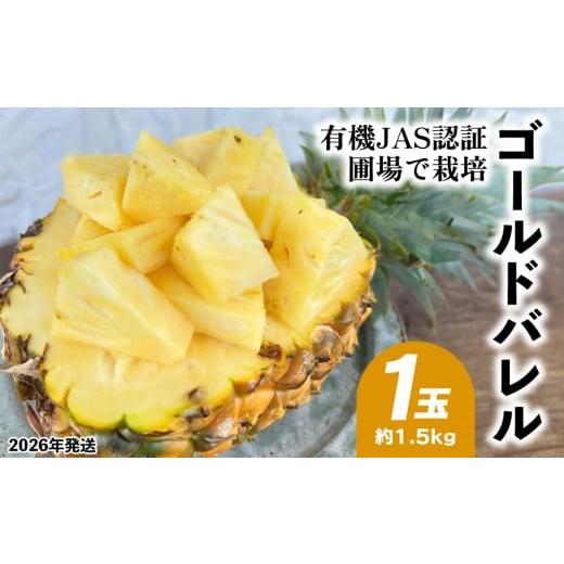 ふるさと納税 果物類 沖縄県 東村 有機JAS認証圃場で栽培 ゴールドバレル 1玉(約1.5kg) 2026年発送 沖縄県産 東村 パイナップル ジューシー 希少 高級フル…