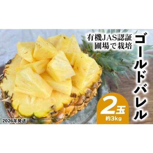 ふるさと納税 果物類 沖縄県 東村 有機JAS認証圃場で栽培 ゴールドバレル 2玉(約3kg) 2026年発送 沖縄県産 東村 パイナップル ジューシー 希少 高級フルー…