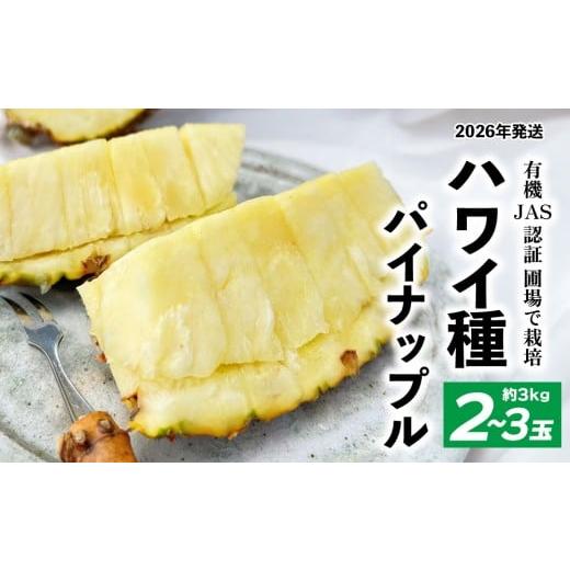 ふるさと納税 果物類 沖縄県 東村 有機JAS認証圃場で栽培 ハワイ種パイナップル 2〜3玉(約3kg) 2026年発送 沖縄県産 東村 パイナップル ジューシー 希少 …